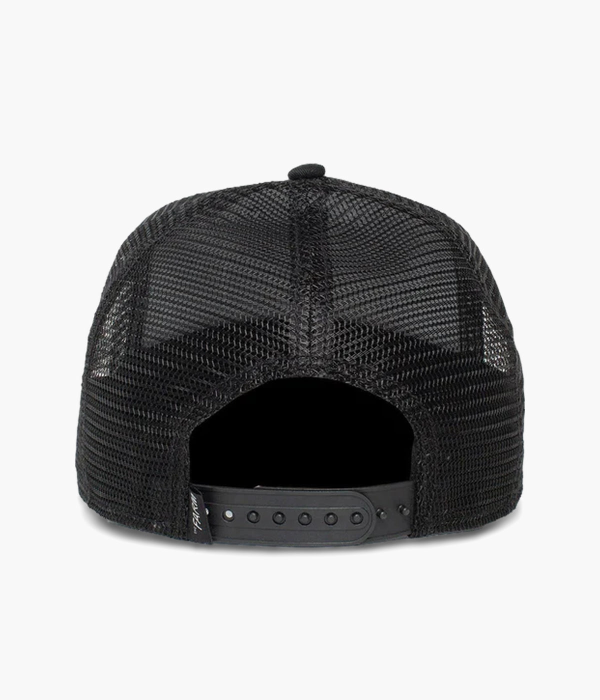 #color_ Freedom Eagle Black
