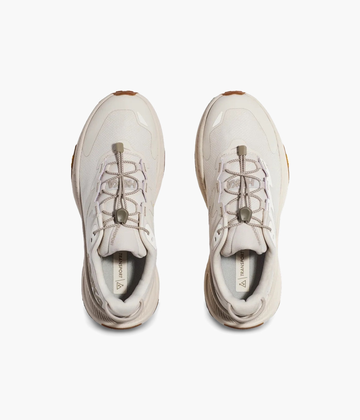 #color_Eggnog / Eggnog