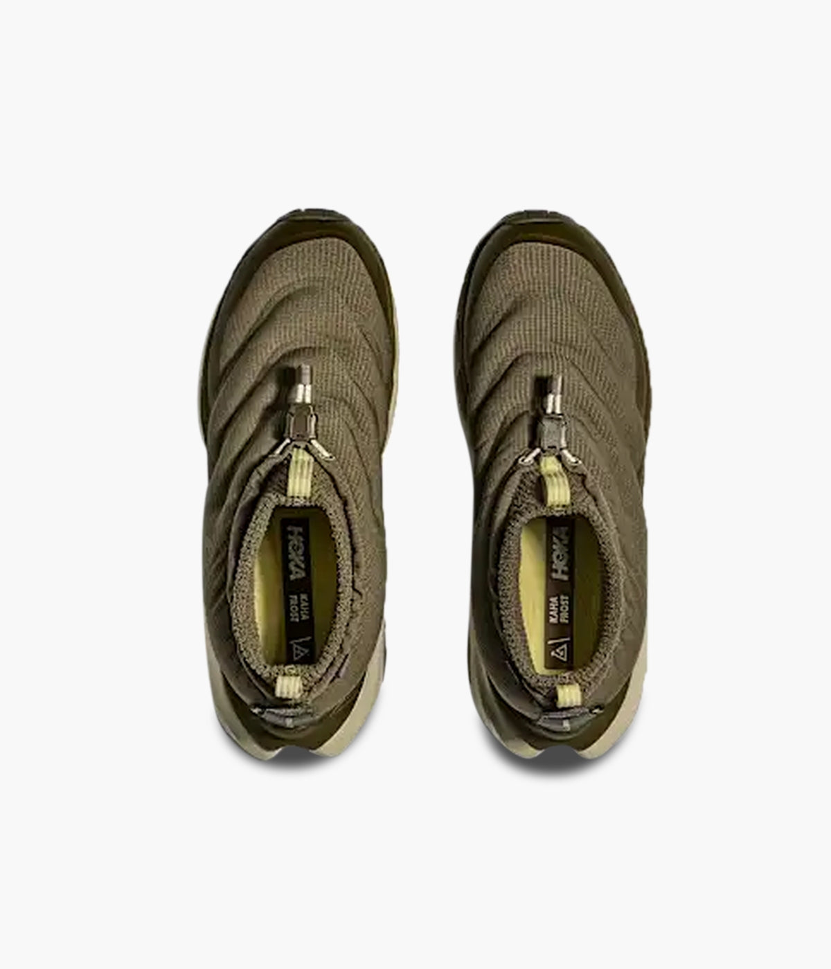 #color_Antique olive / Spruce green