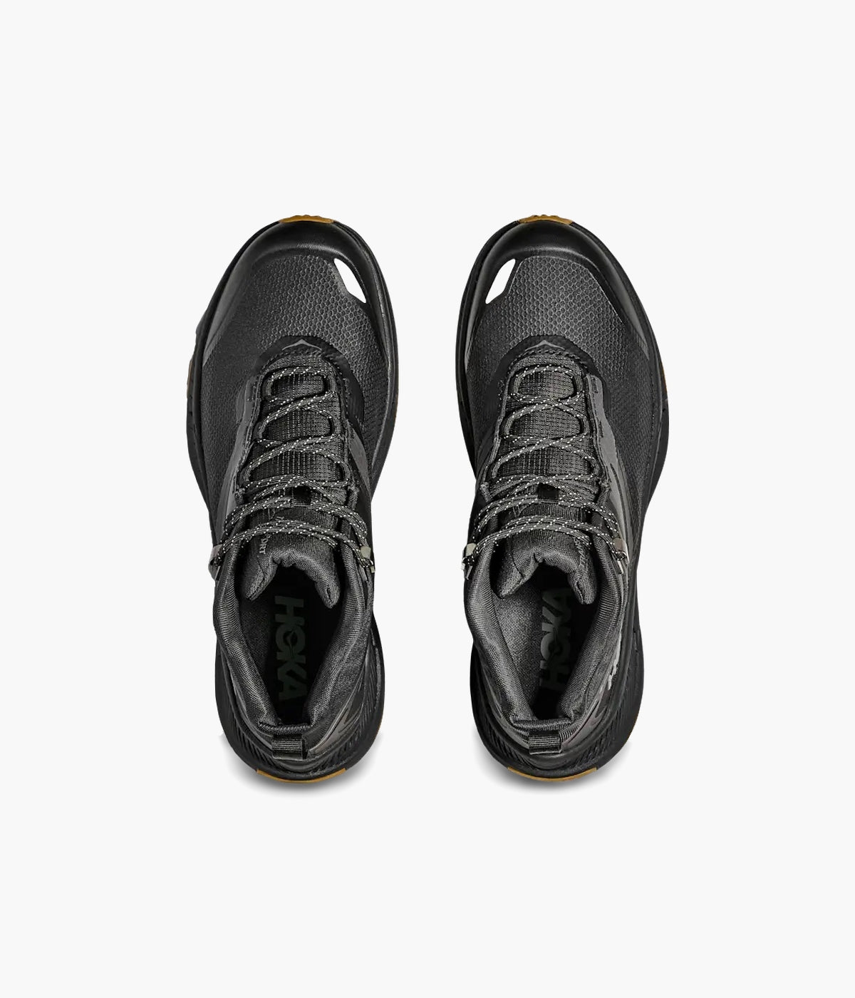 #color_Black / Black