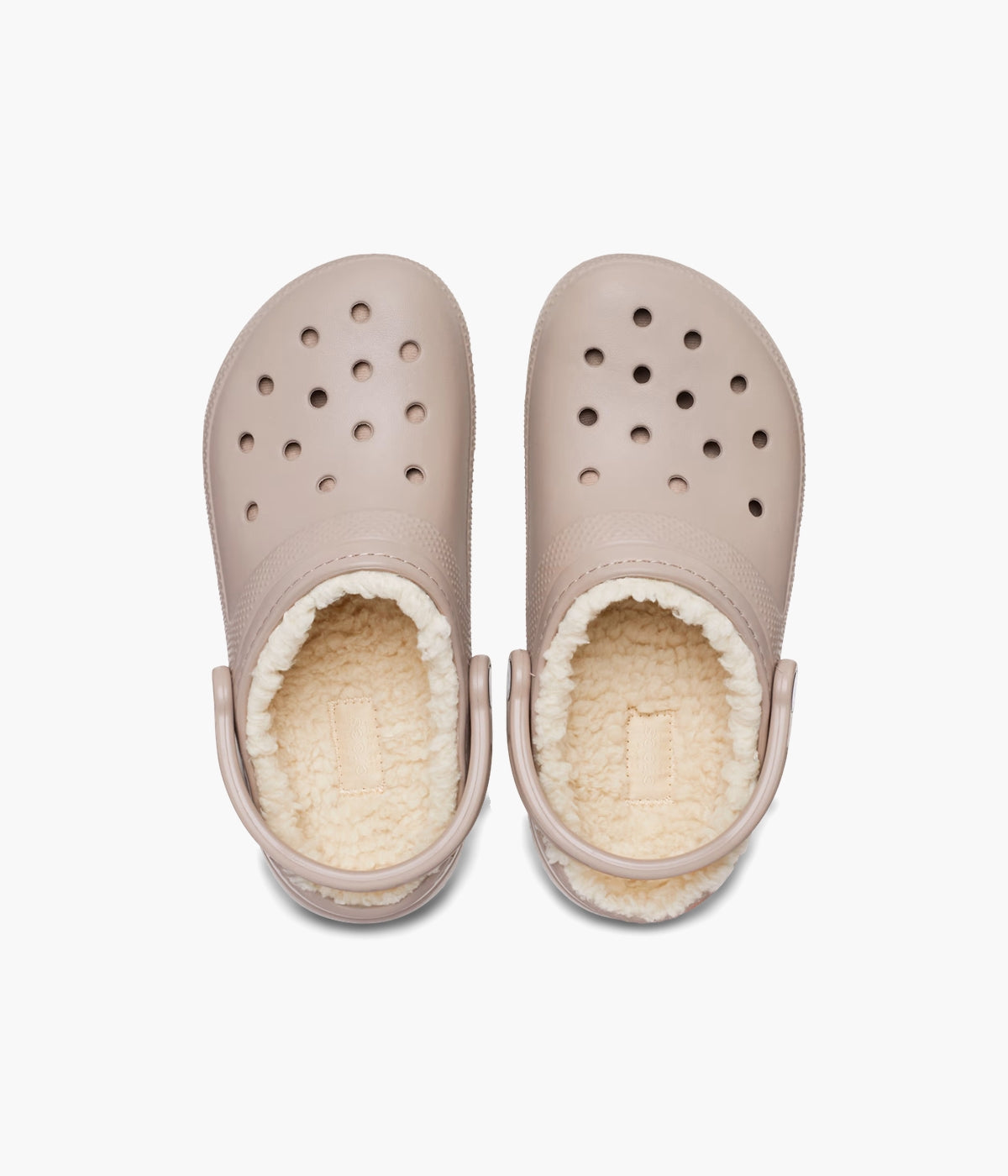 #color_Mushroom / Bone