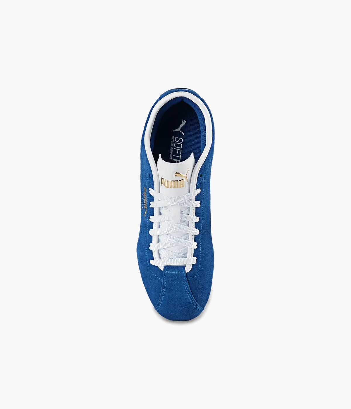 #color_Blue / White