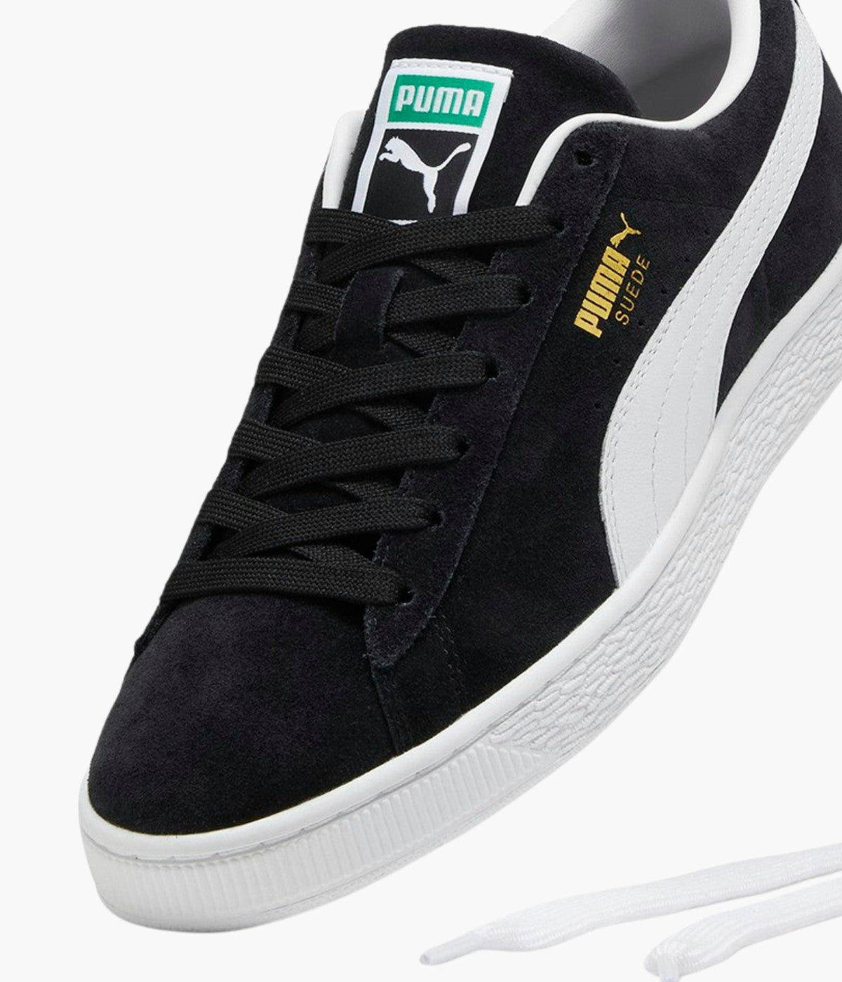 #color_Black / White