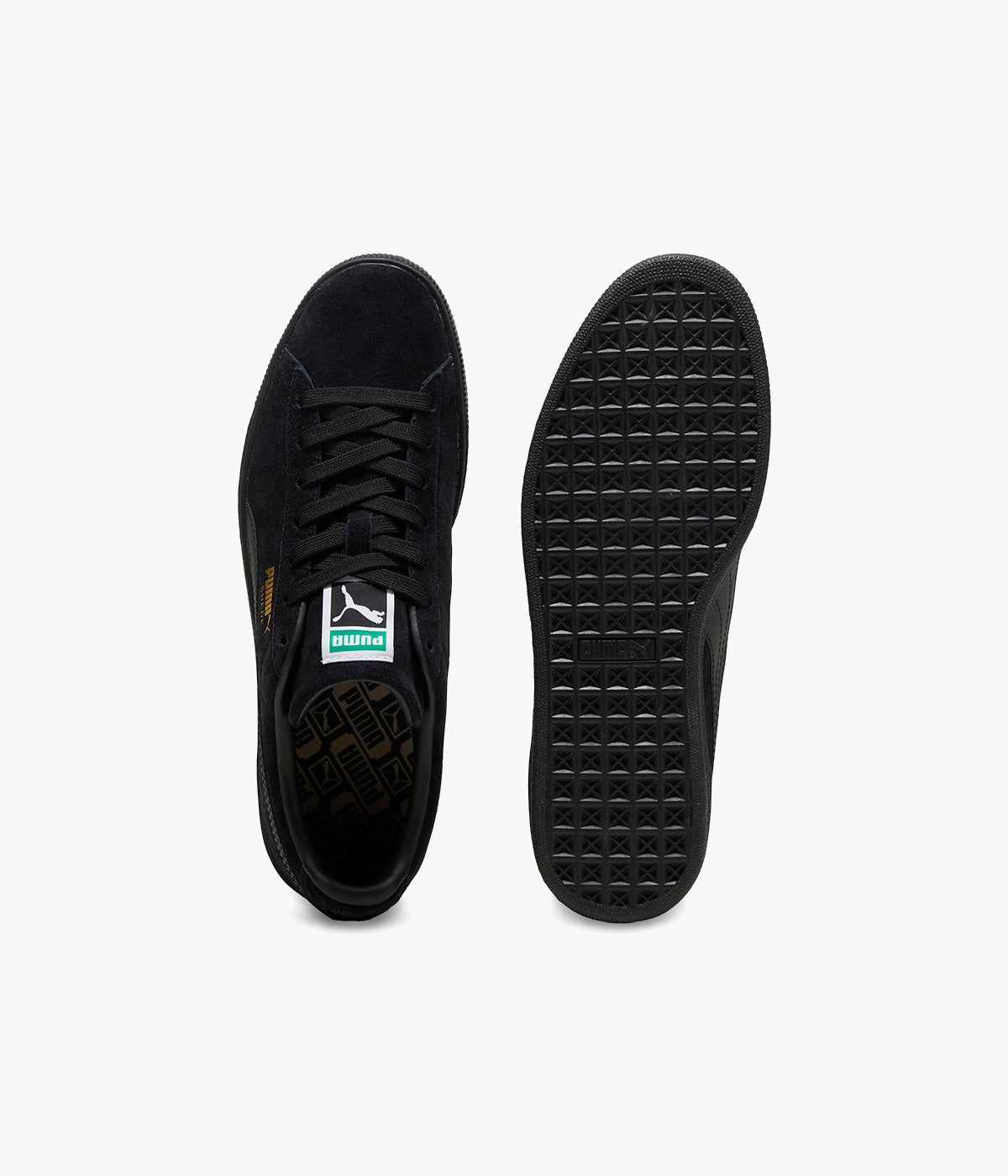 #color_Black / Black