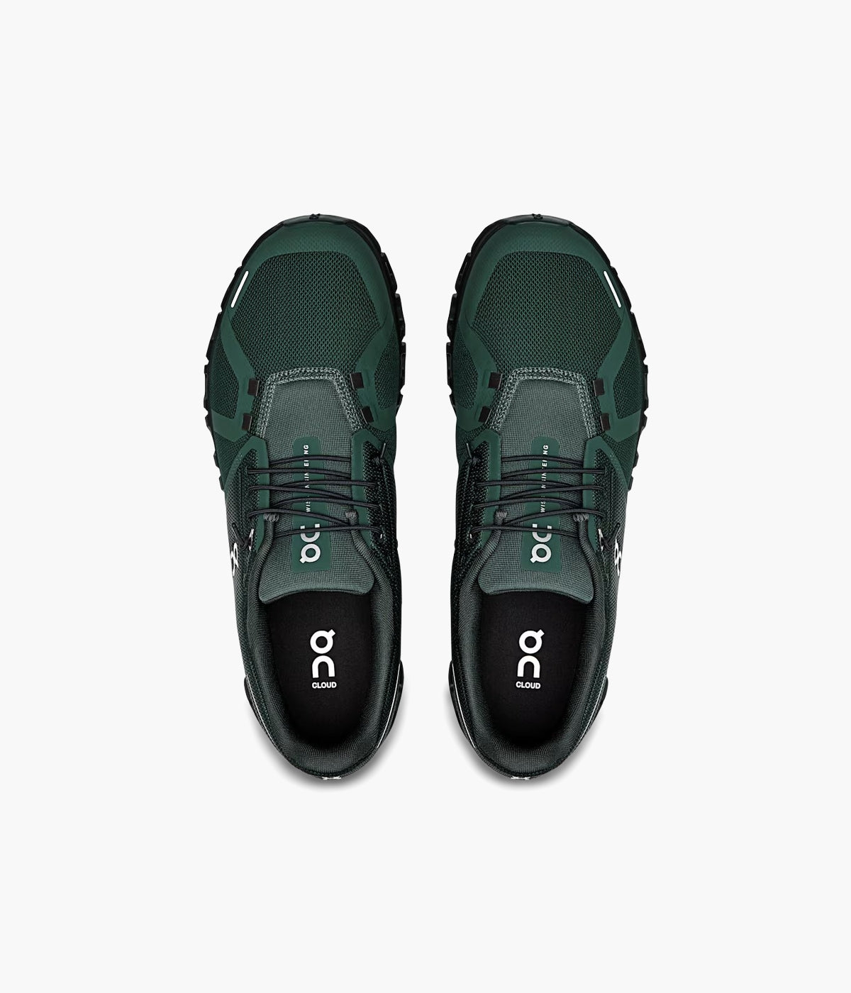 #color_Evergreen / Black