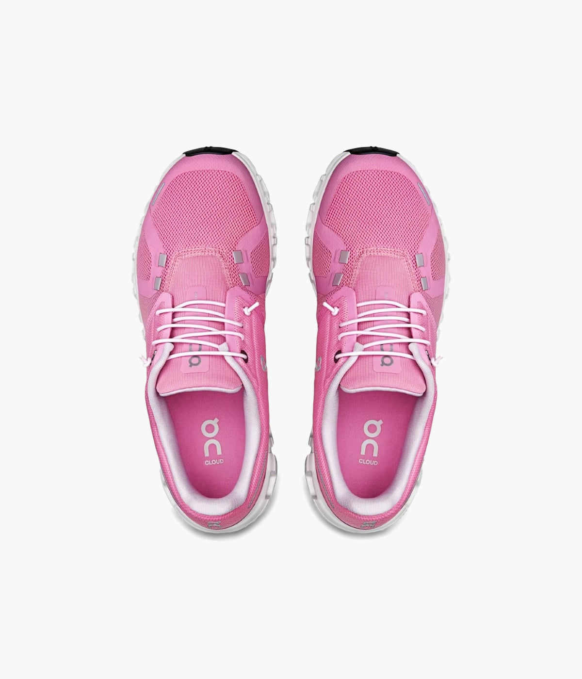 #color_Raspberry / White