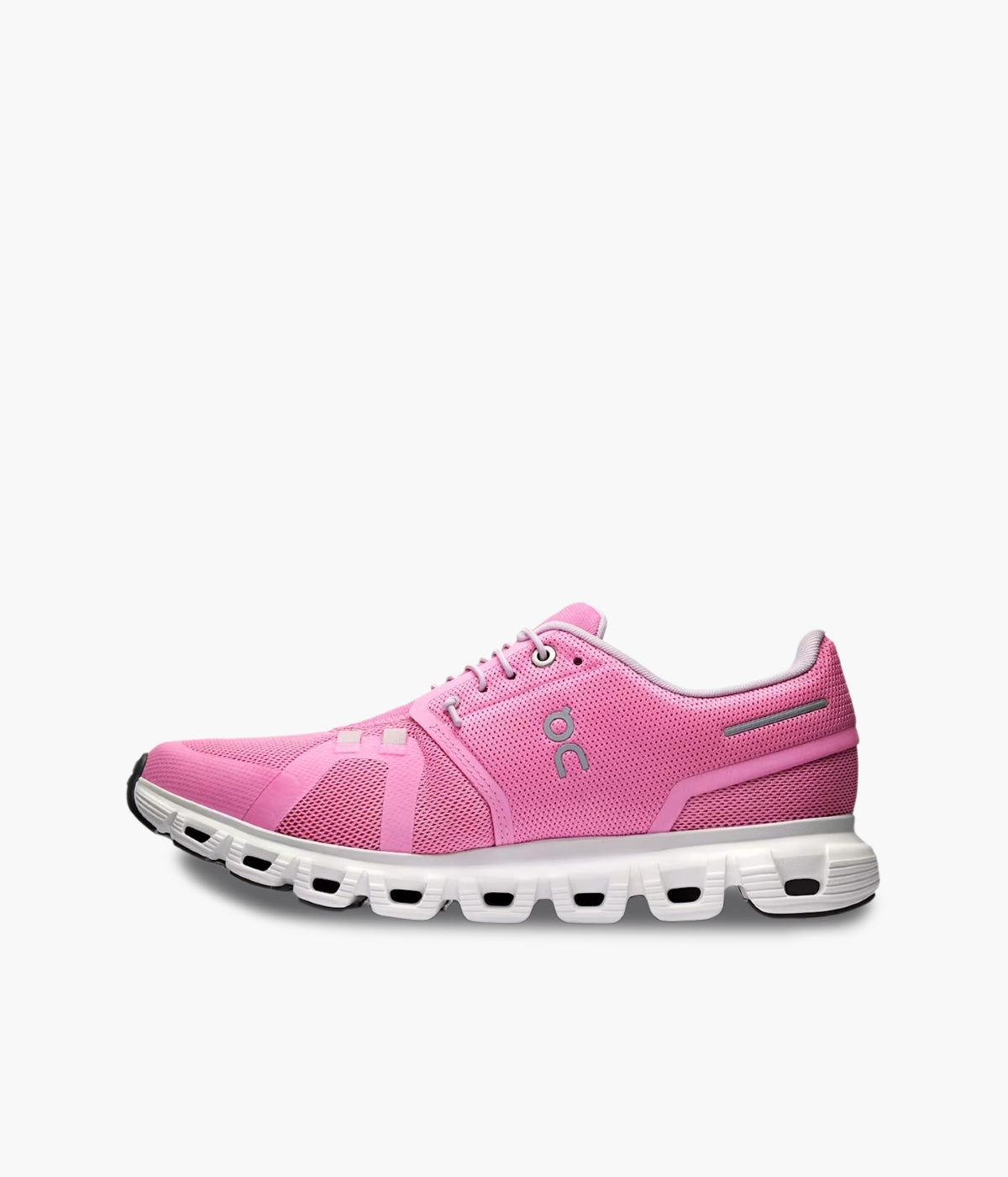 #color_Raspberry / White