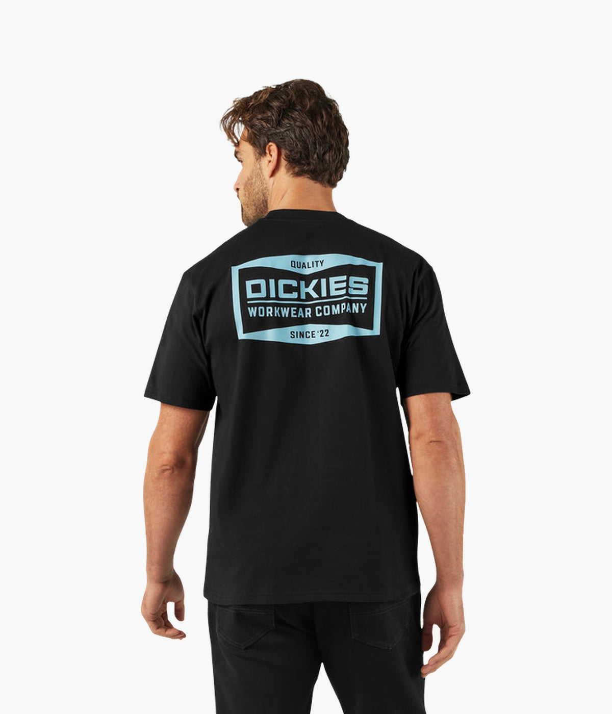 Dickies Men's Bolivar Tee Short Sleeve
