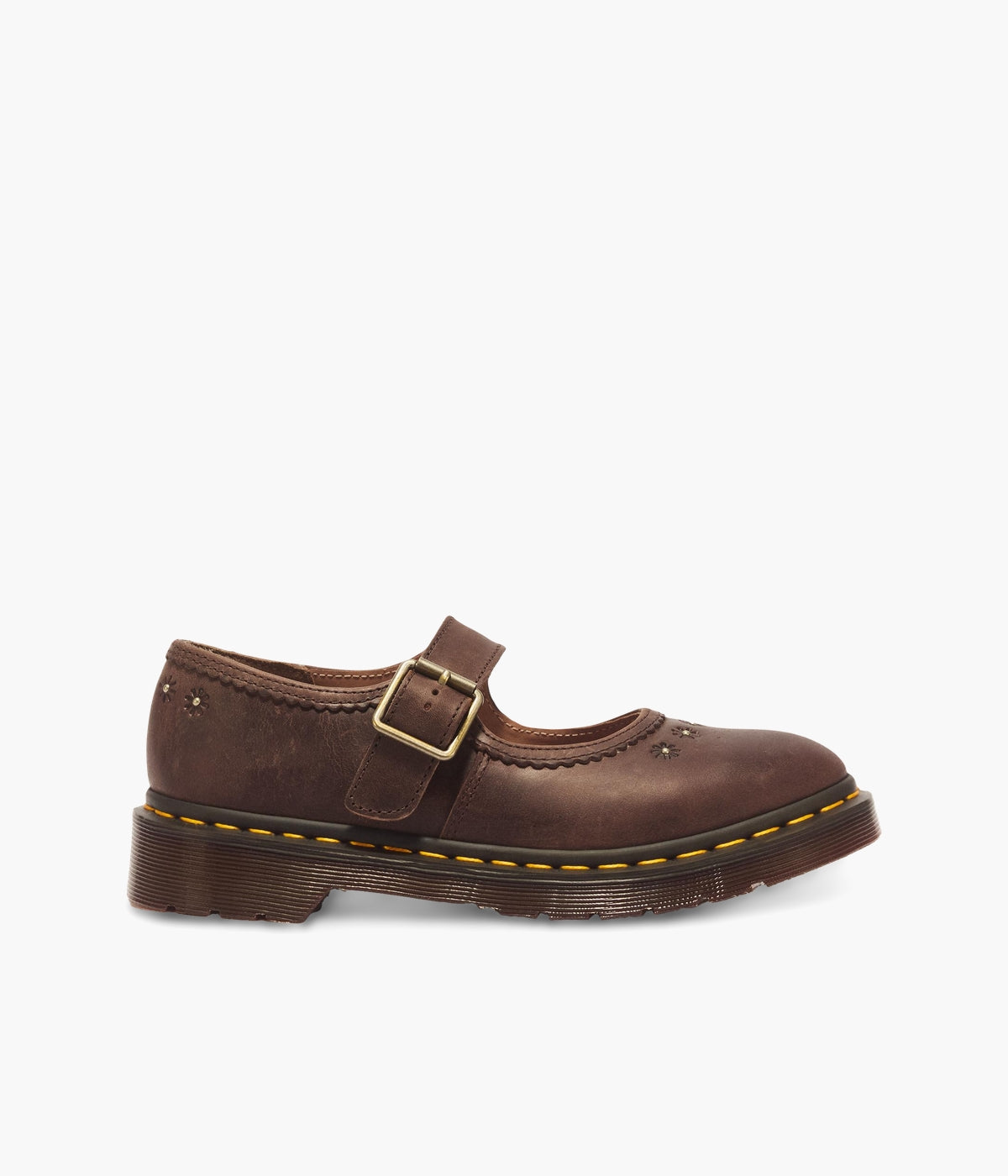 #color_Dark Brown