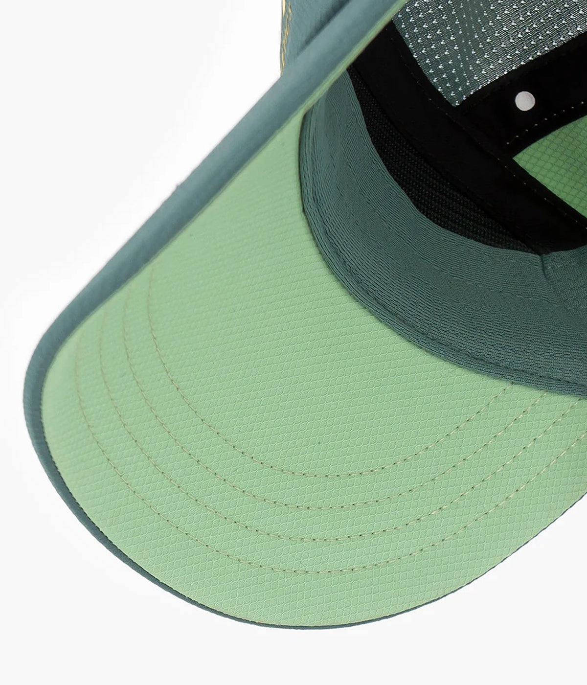 #color_Silver Pine / Pistachio