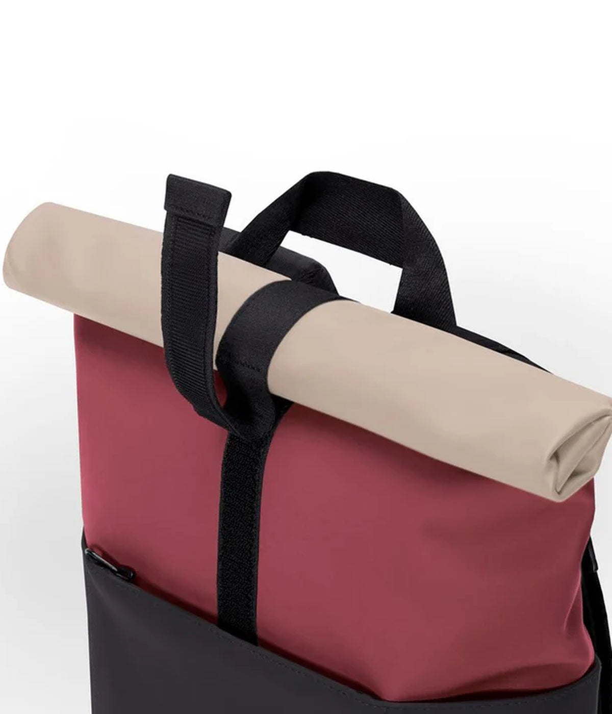 #color_burgundy / black