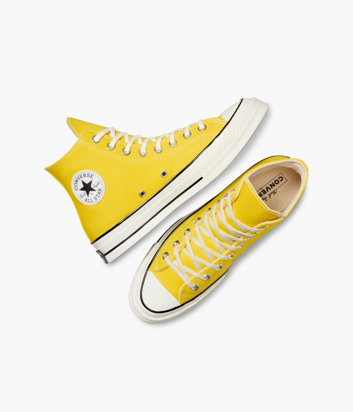 #color_Golden Wren / Egret / Black