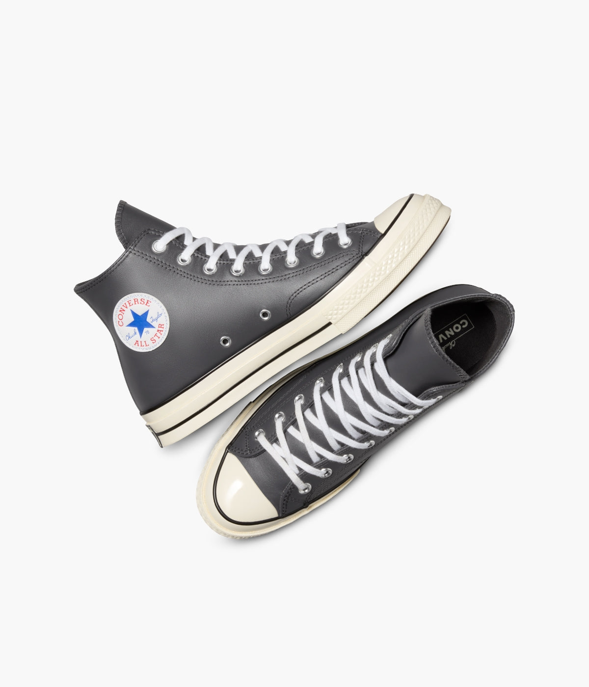 #color_Dark Matter / Shadow Purple / White