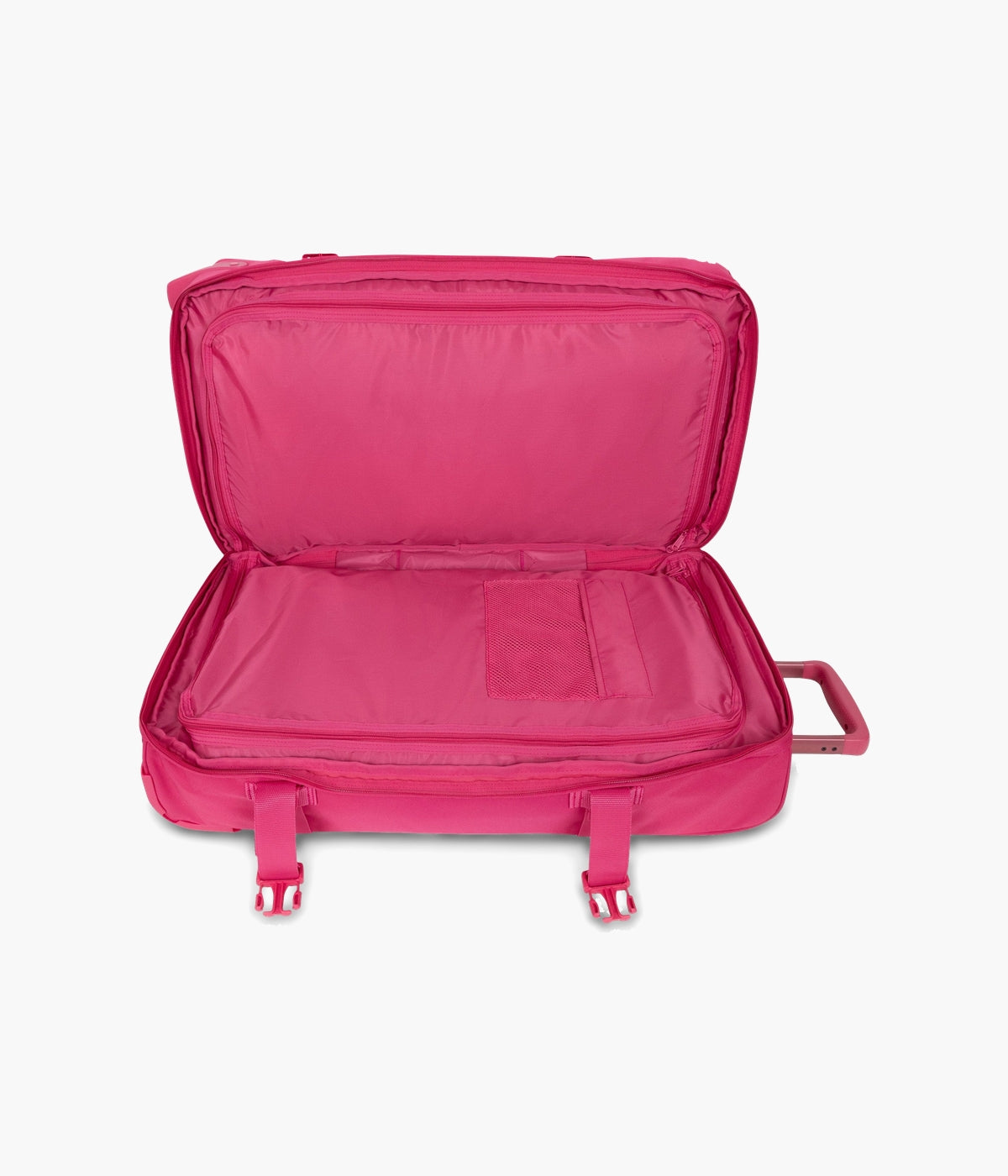 #color_Monotone Pink