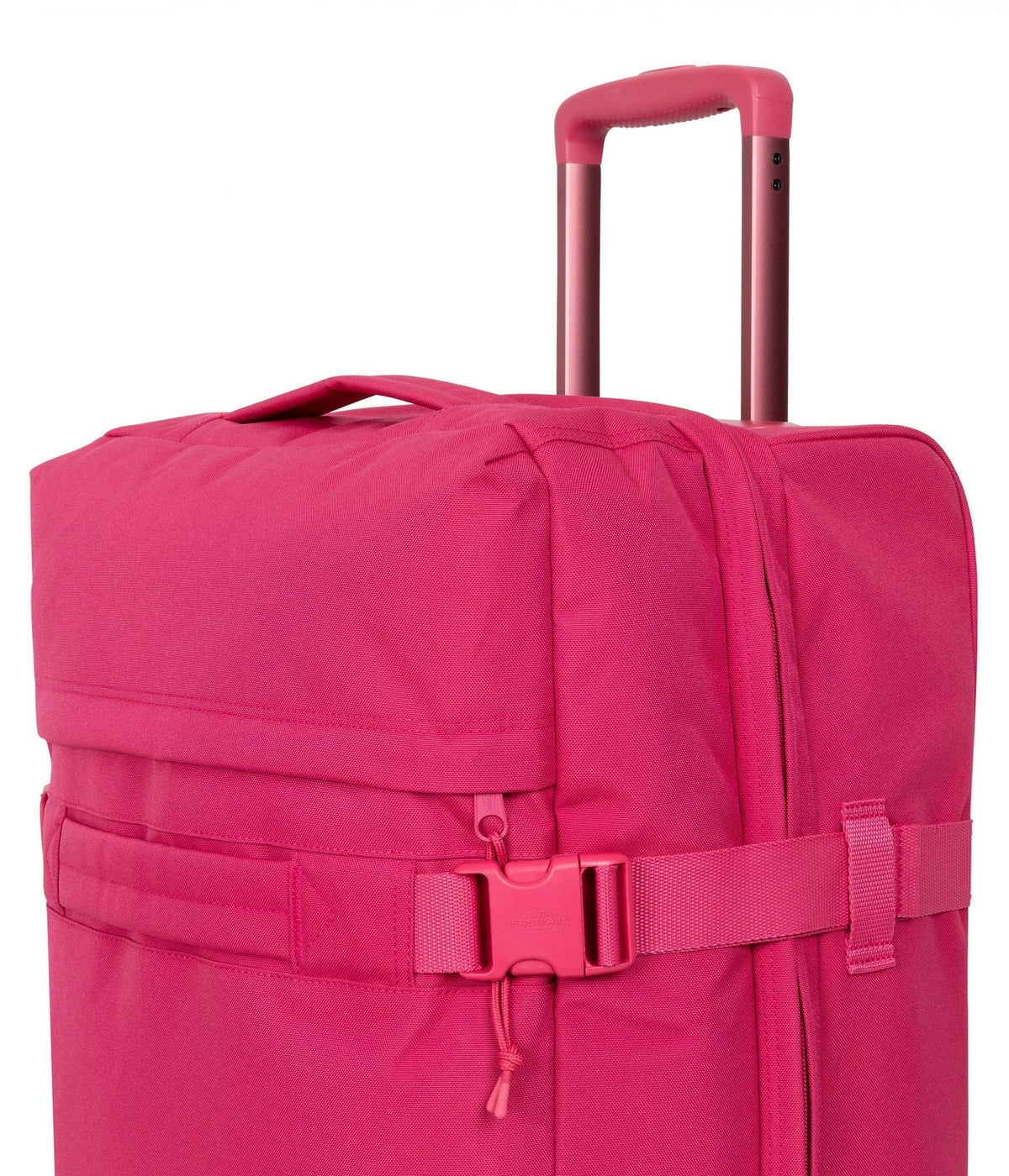 #color_Monotone Pink