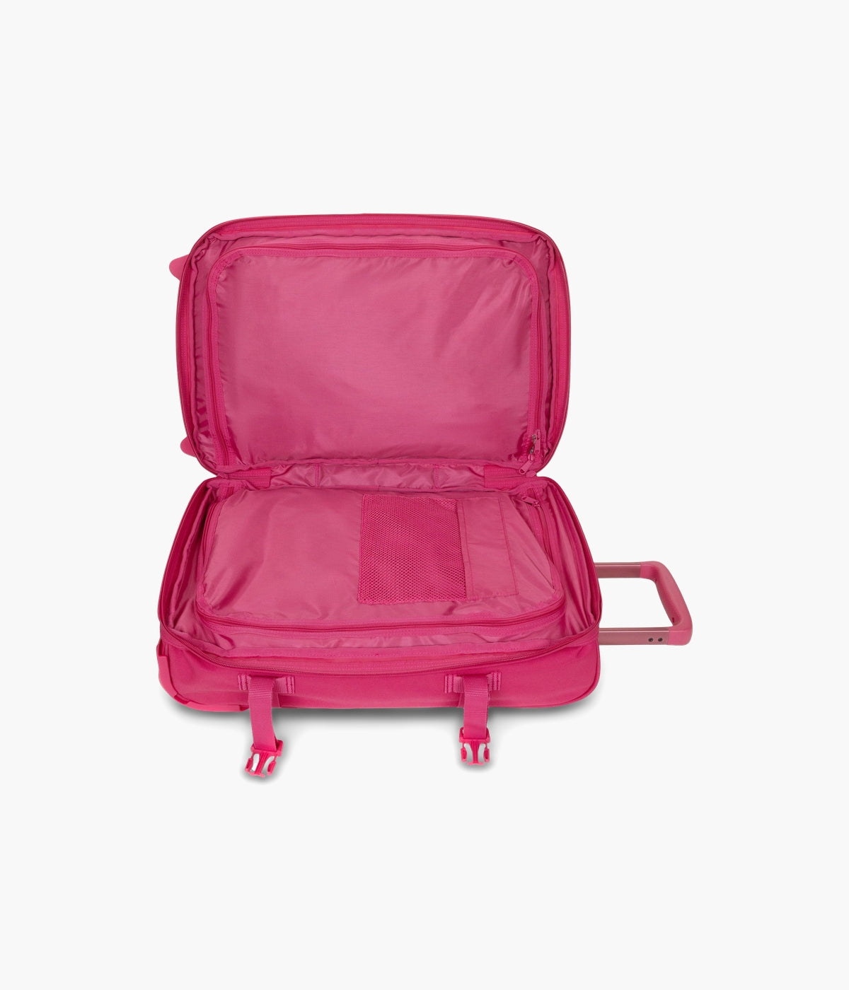 #color_Monotone Pink