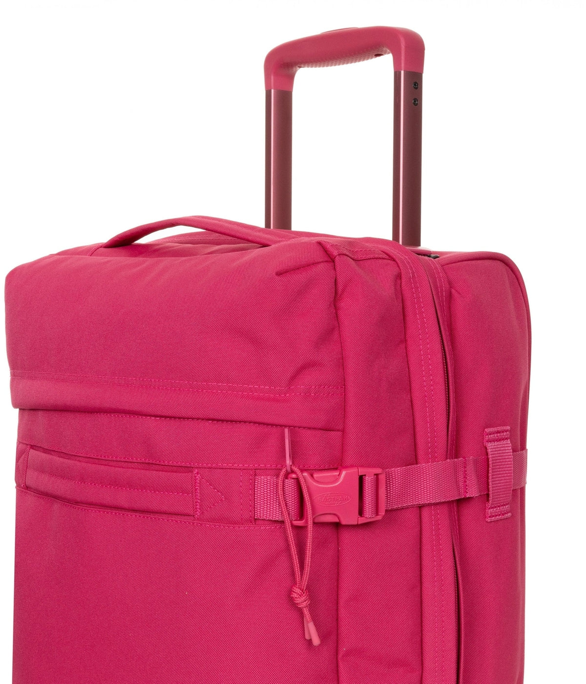 #color_Monotone Pink