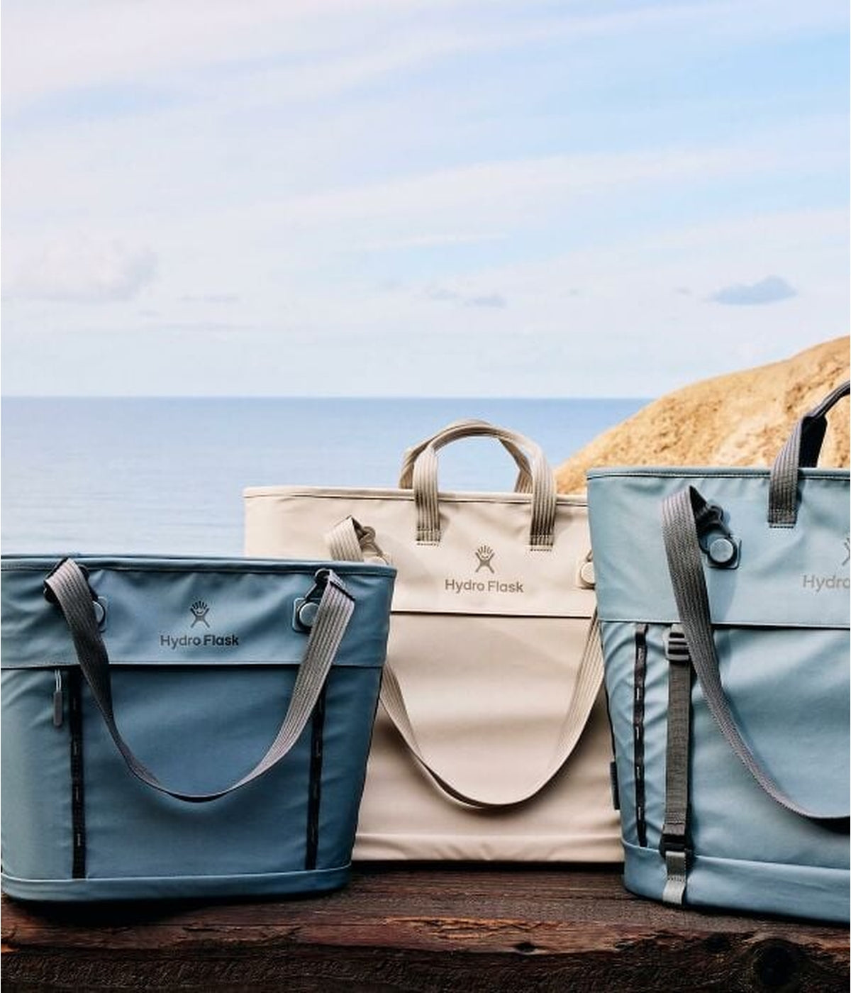 Hydro Flask Carryout Tote 10L