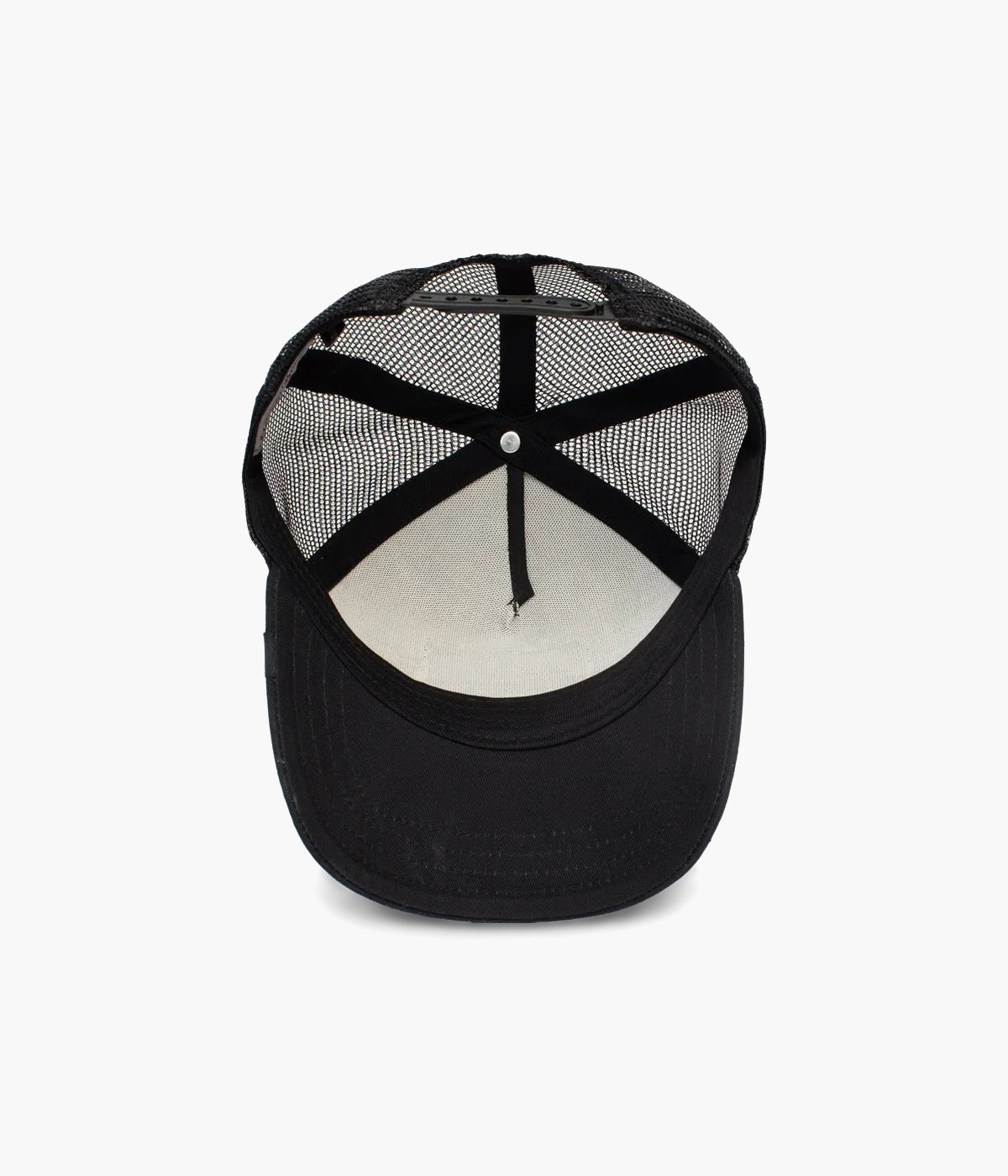 #color_White Tiger Black