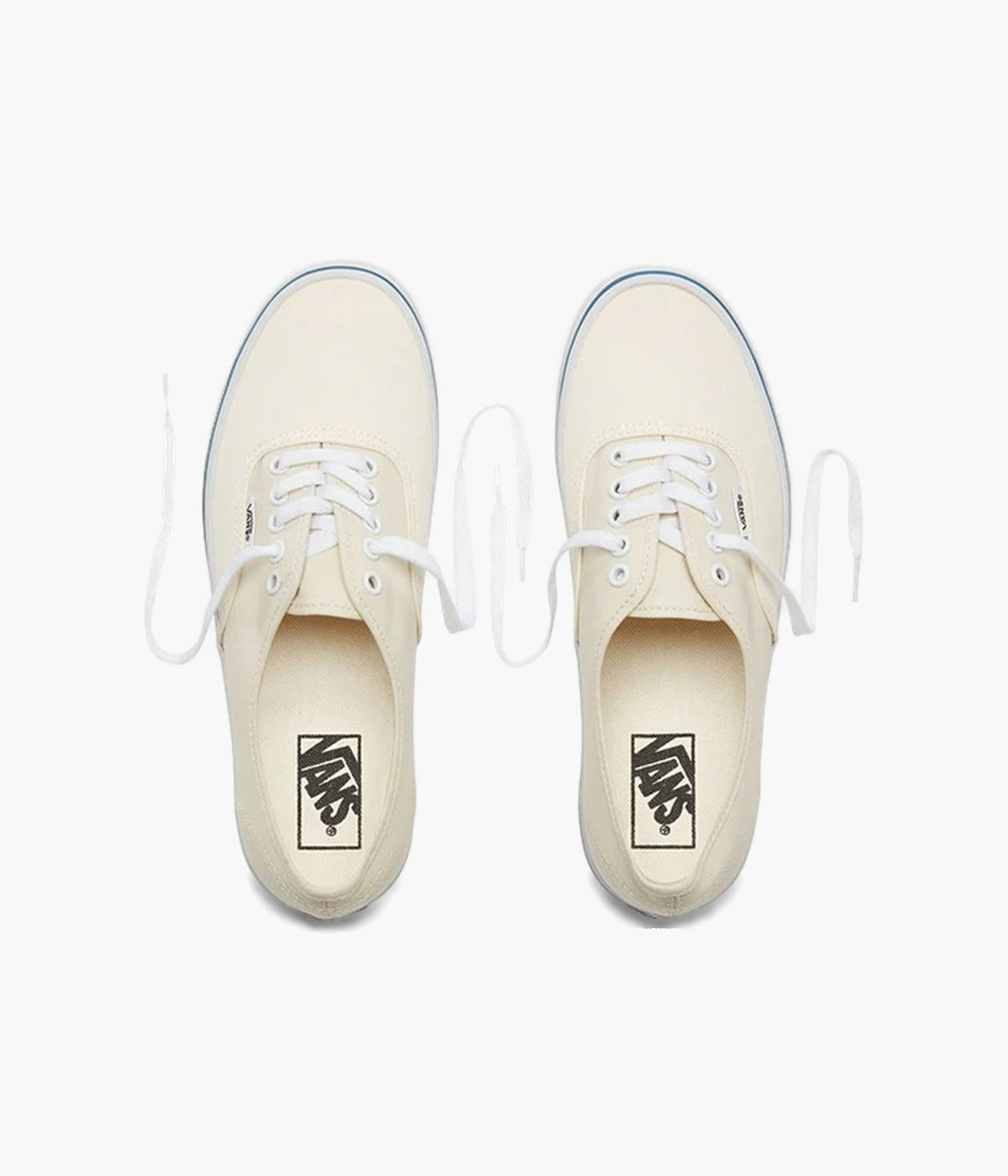 #color_Off White