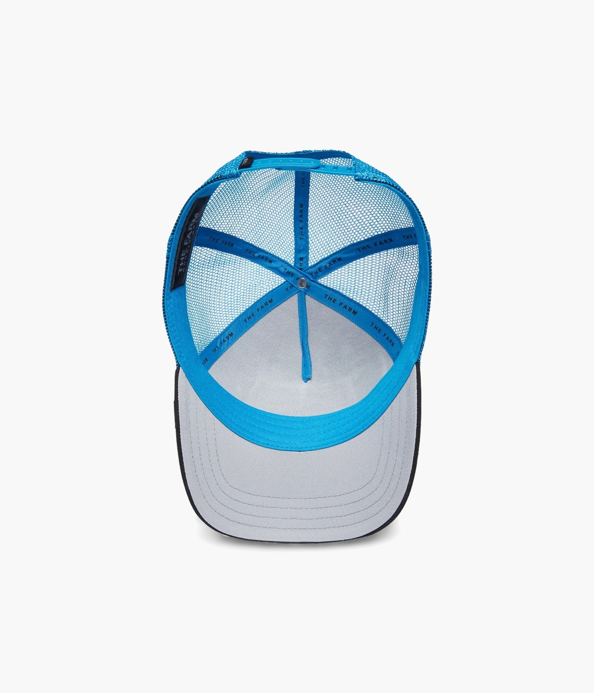 #color_Lion Fan Blue