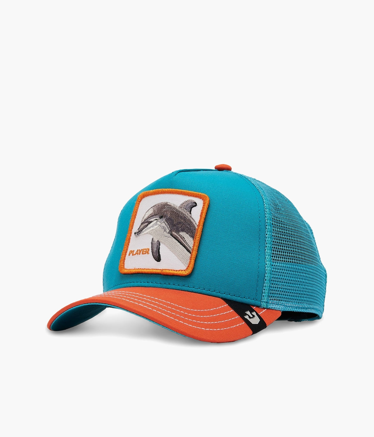 #color_Dolphin Fan Turquoise