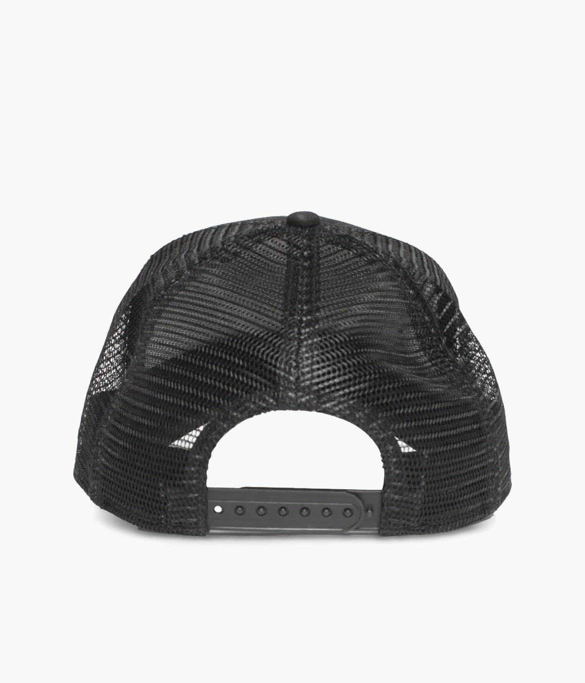 #color_Panther Black