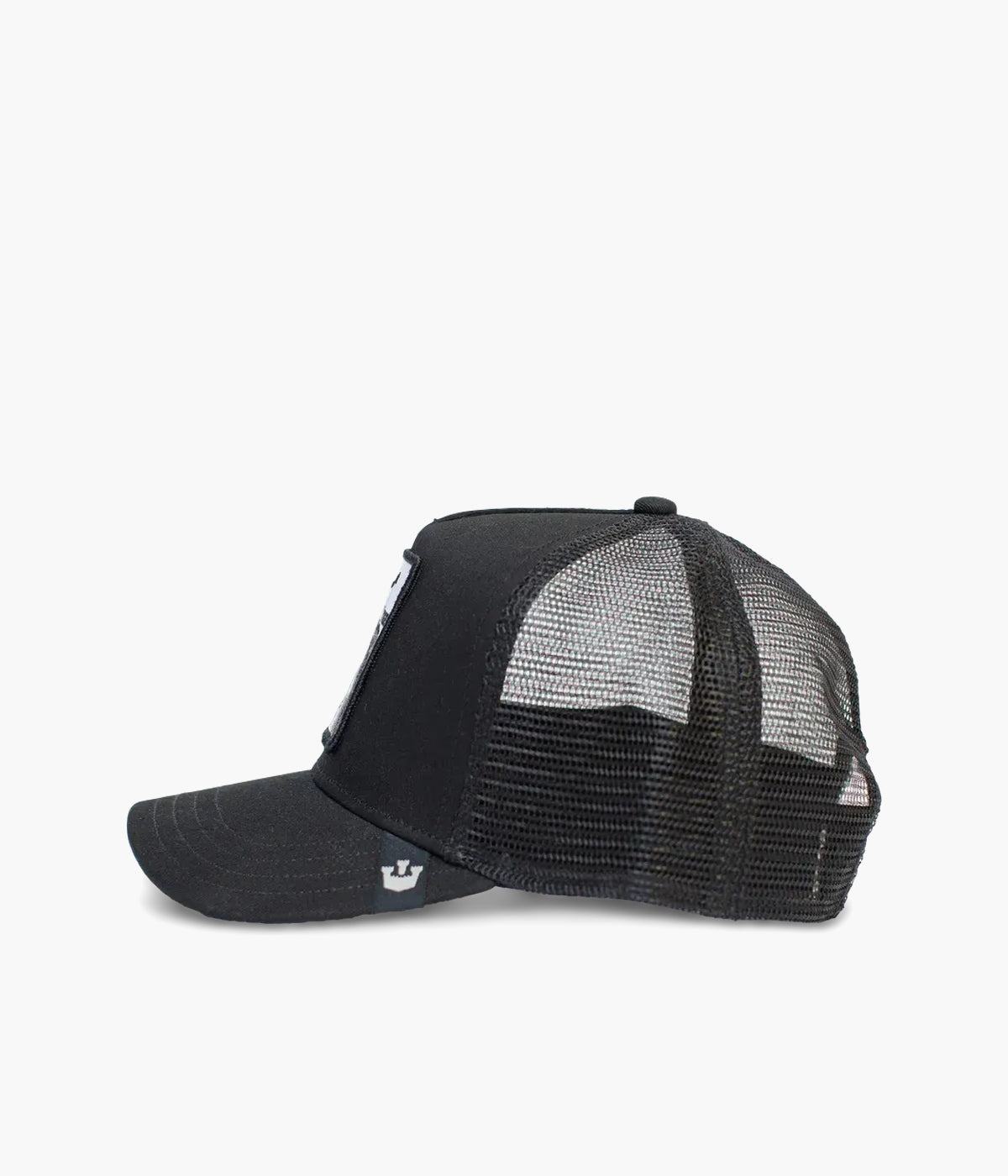 #color_White Tiger Black