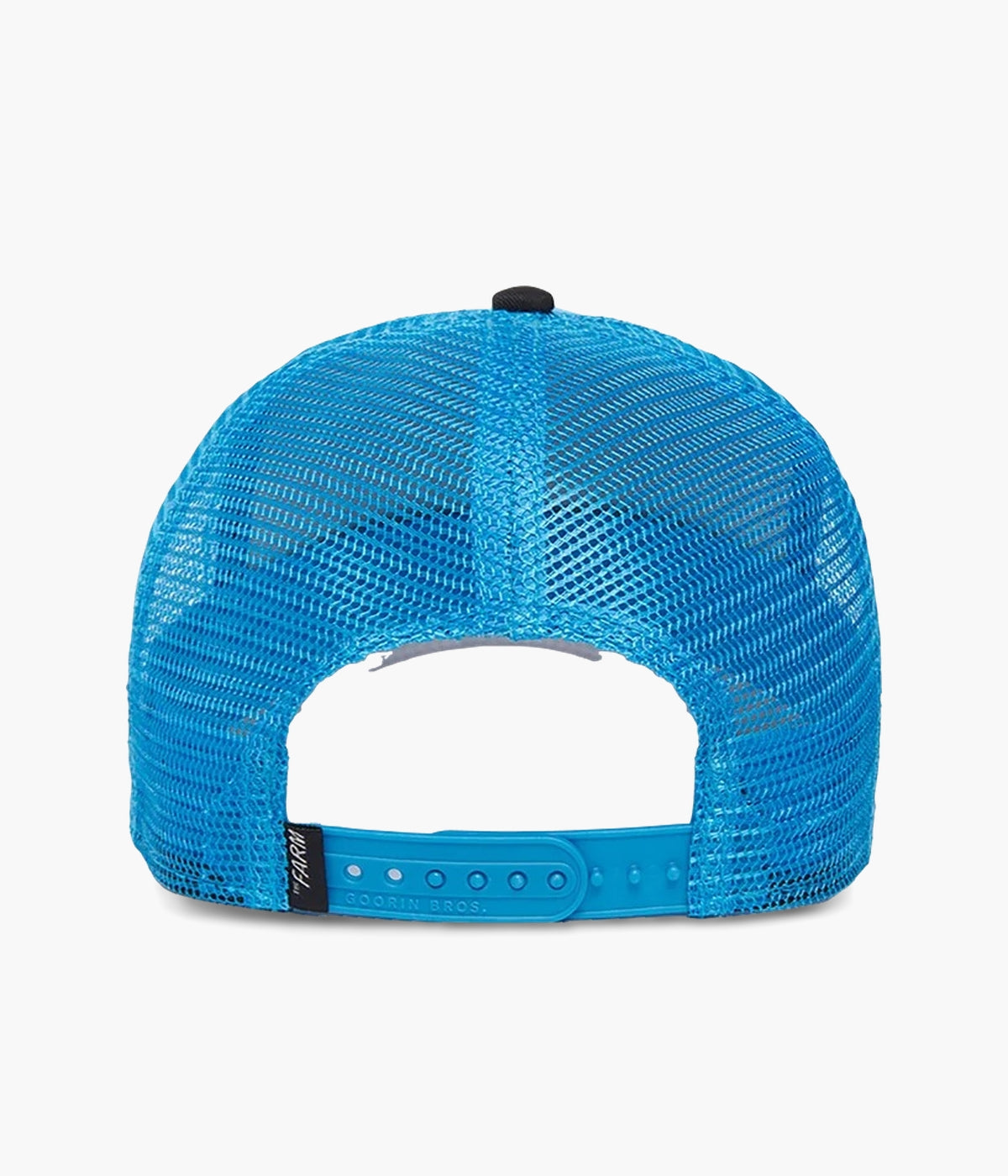 #color_Lion Fan Blue