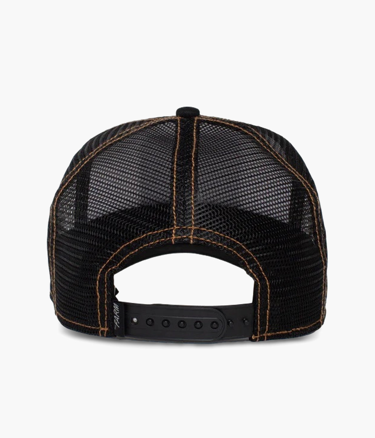 #color_King Lion Black