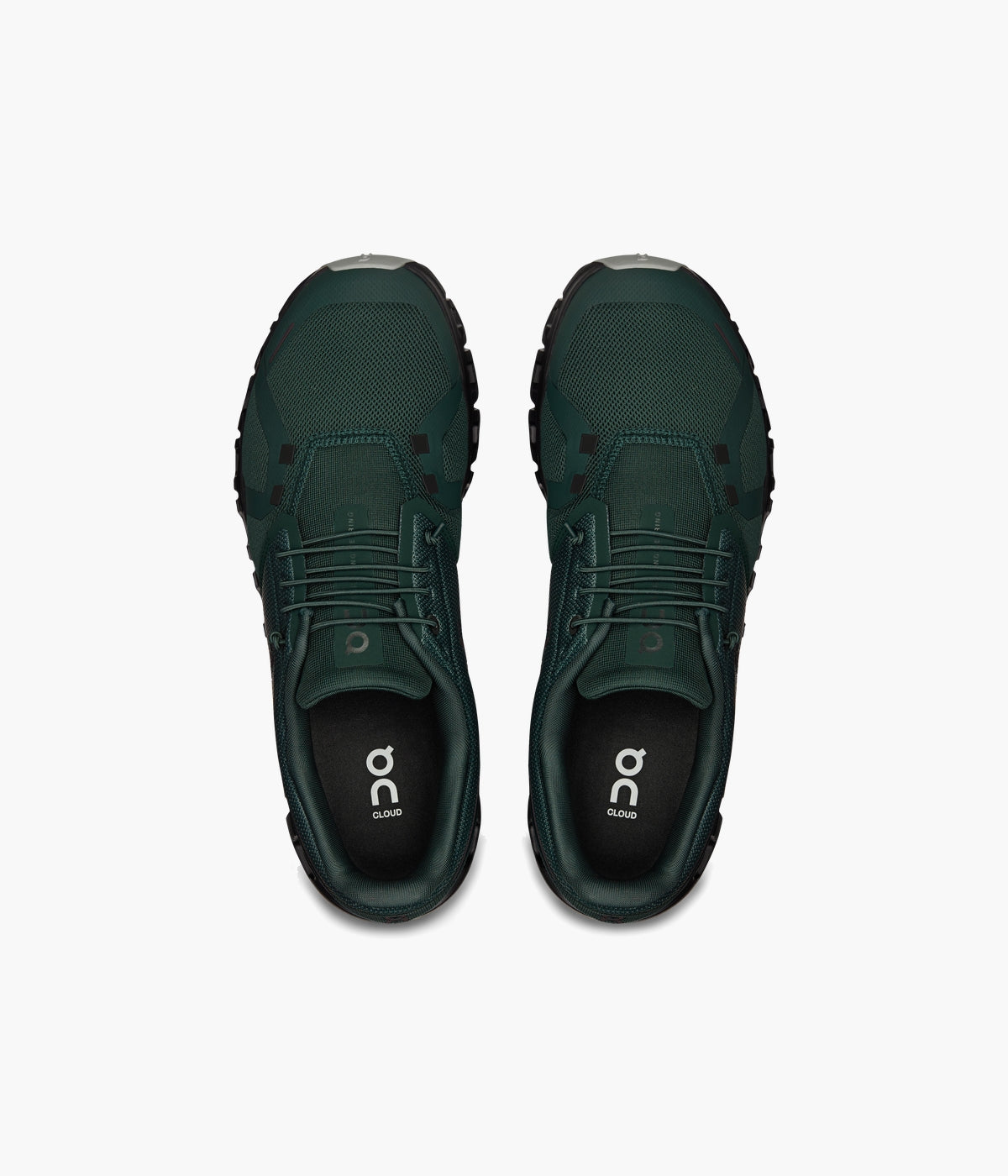 #color_Evergreen / Glacier