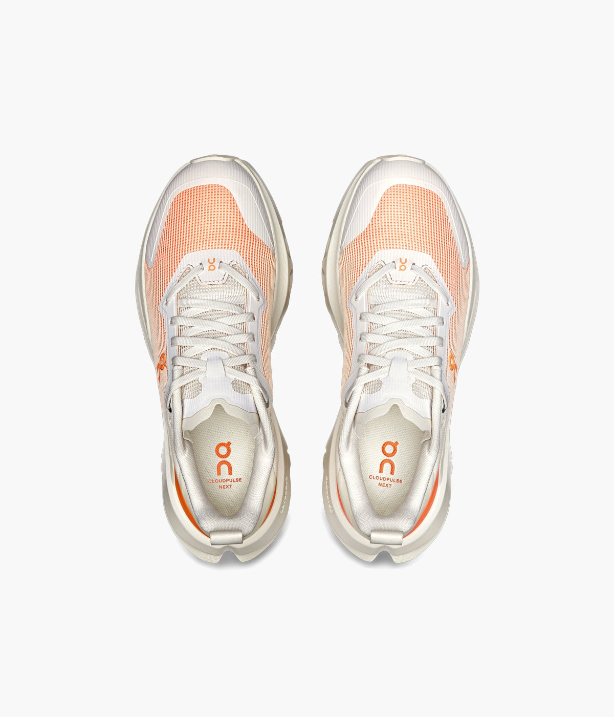 #color_Dew / Tumeric