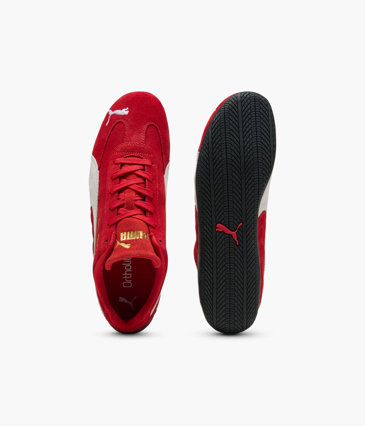 #color_Red / White