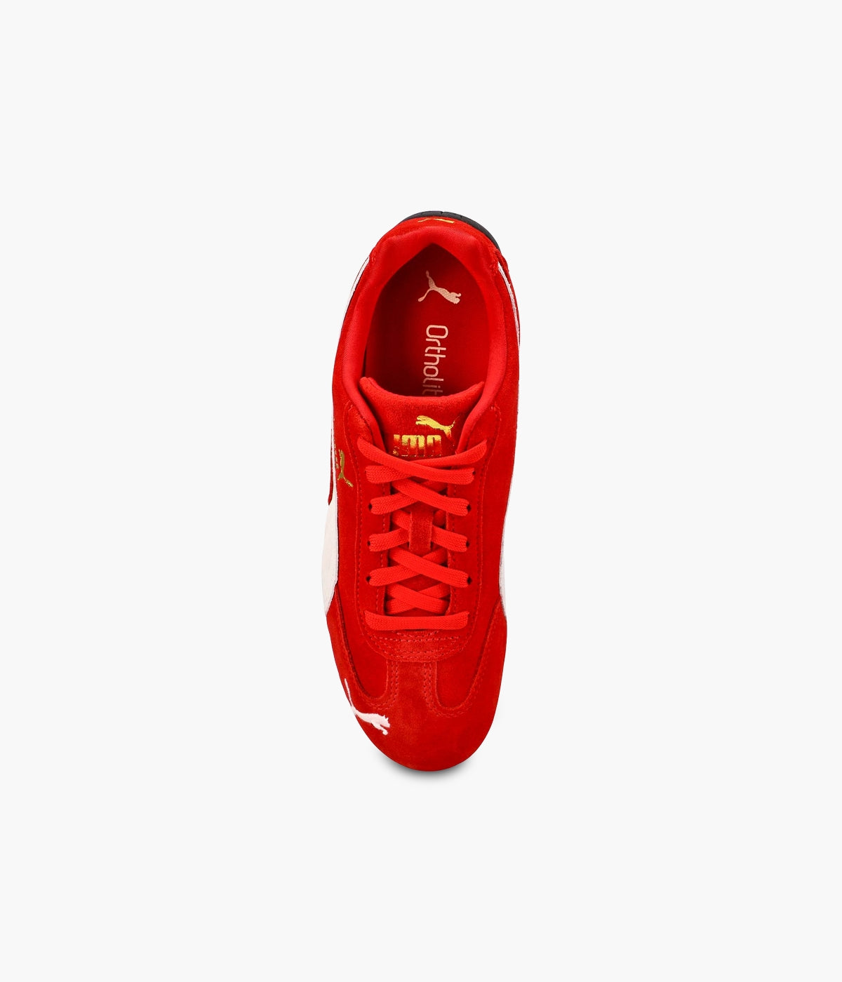 #color_Red / White