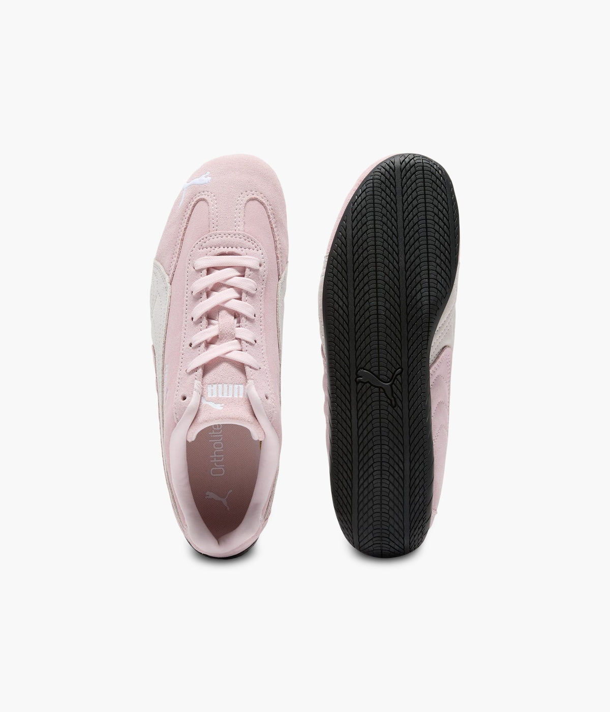 #color_Pink / White