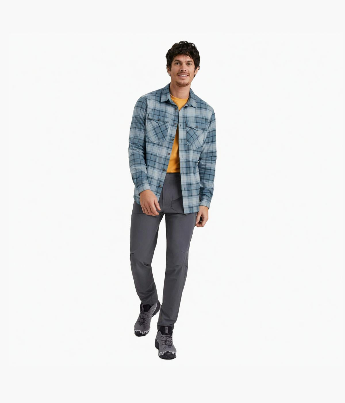 #color_Ripple/Meteor Check