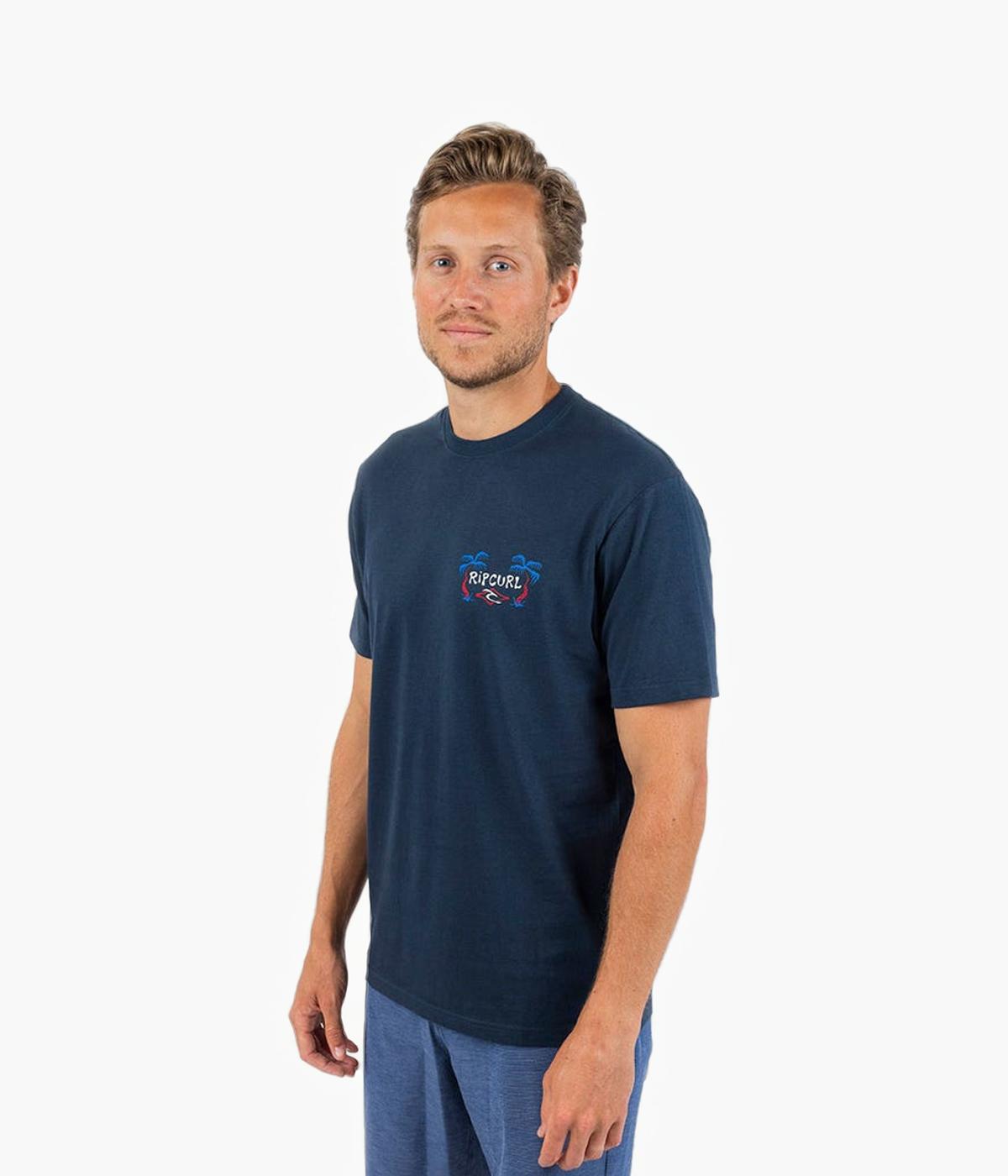 #color_dark navy