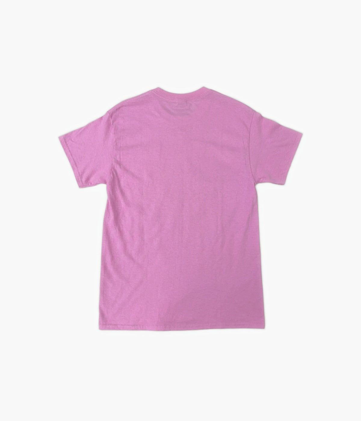 #color_Hibiscus Pink