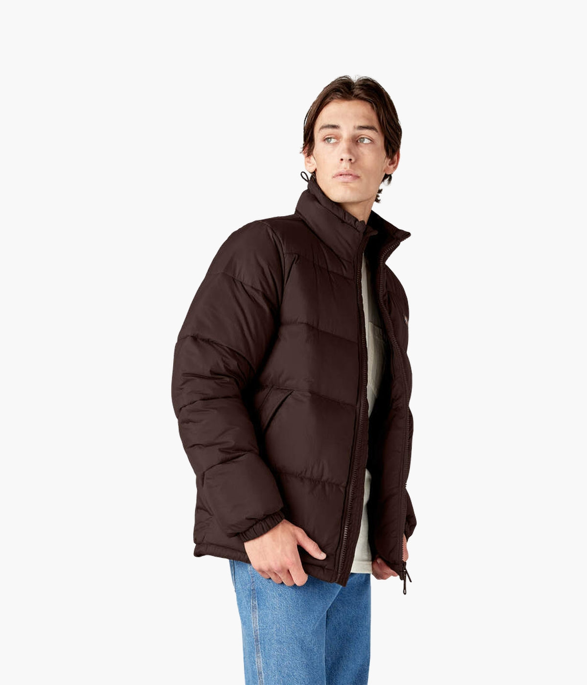 #color_Chocolate Brown