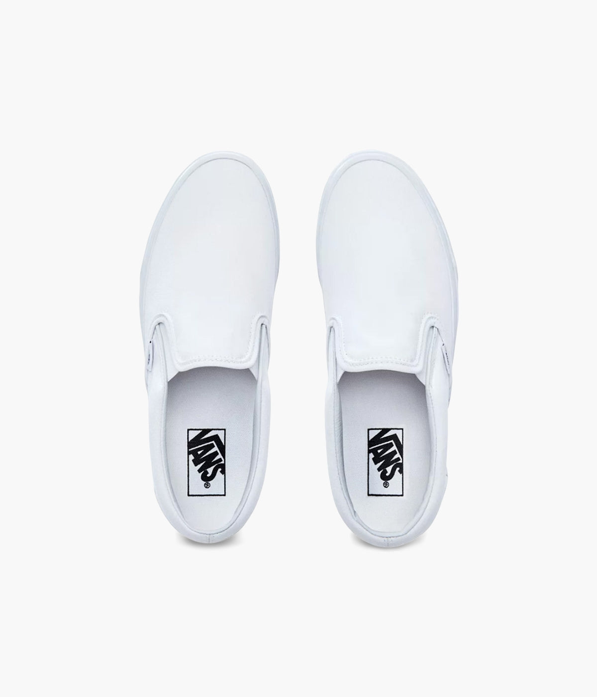 #color_True White