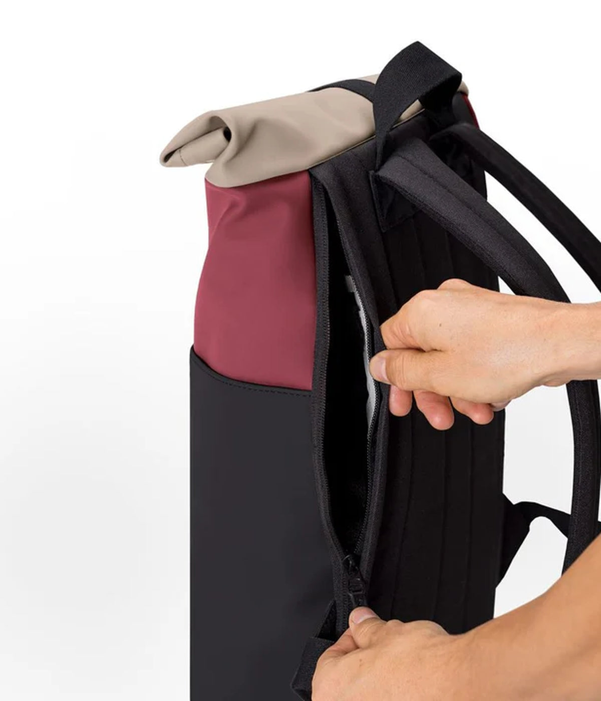 #color_burgundy / black