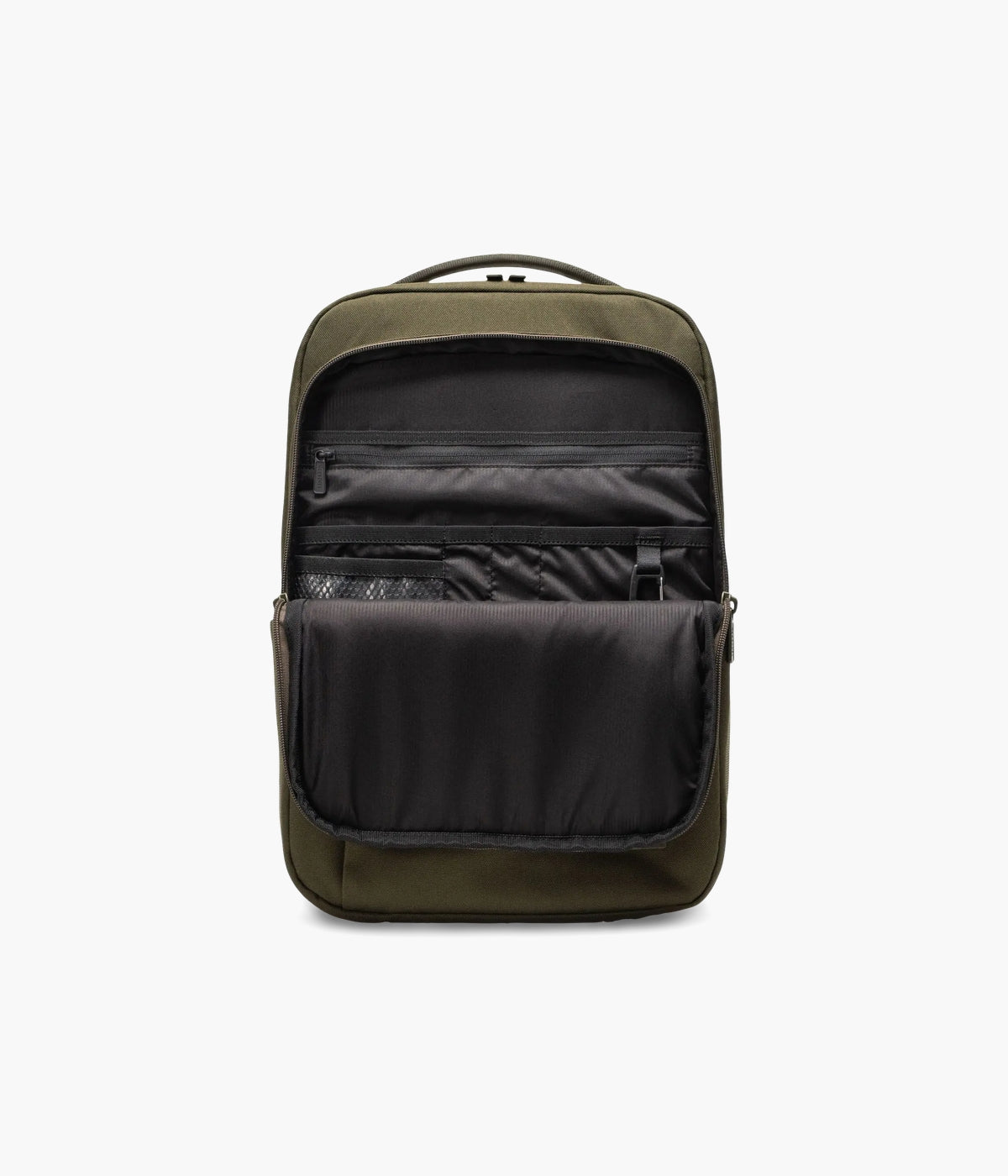 #color_Ivy Green Tonal