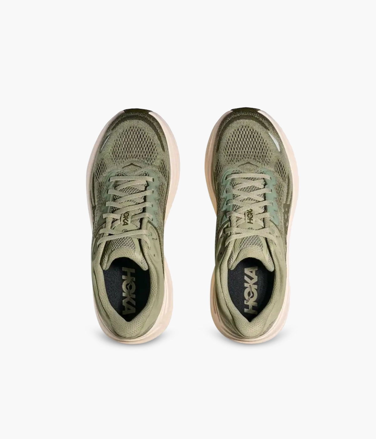 #color_Sea Moss  / Eucalyptus