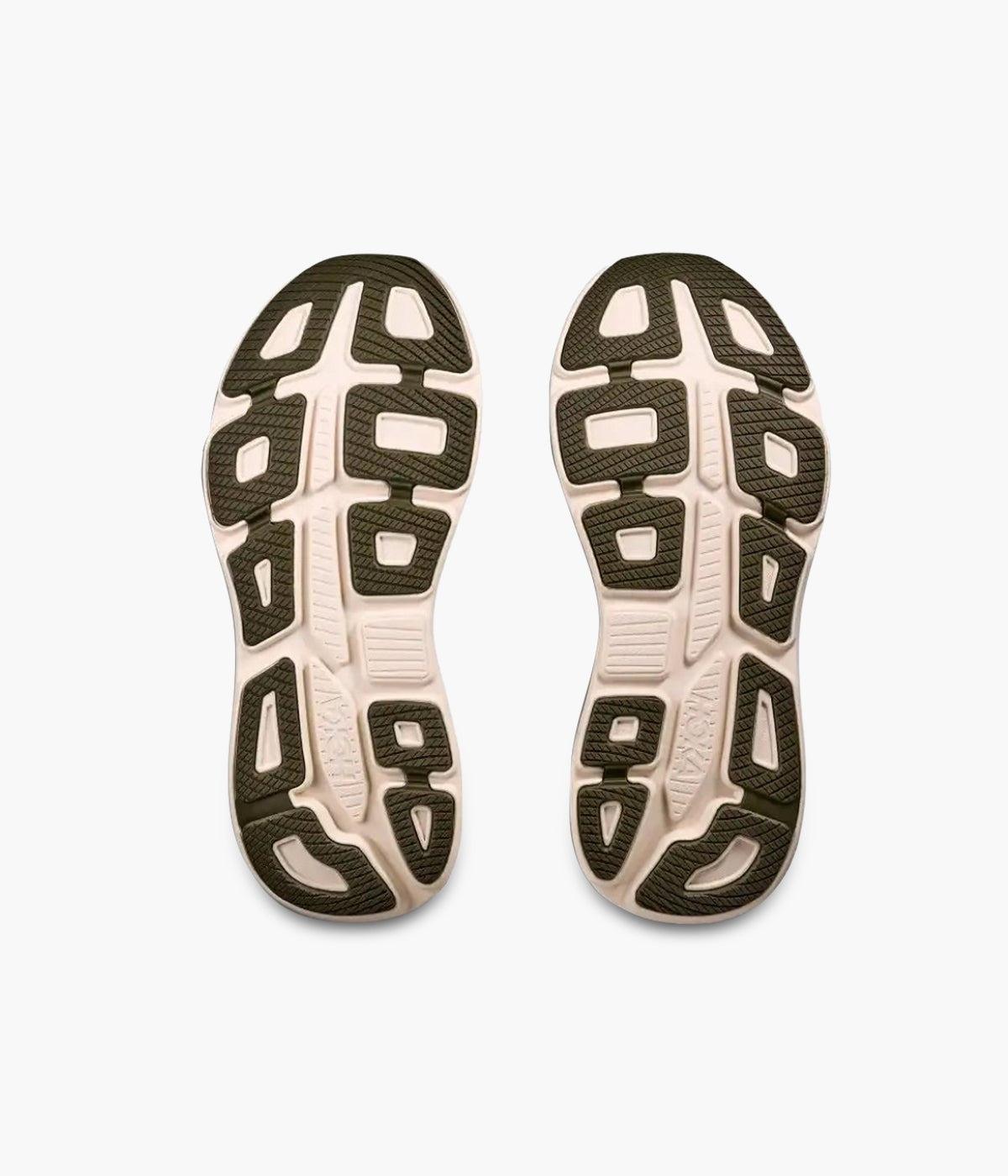 #color_Sea Moss  / Eucalyptus