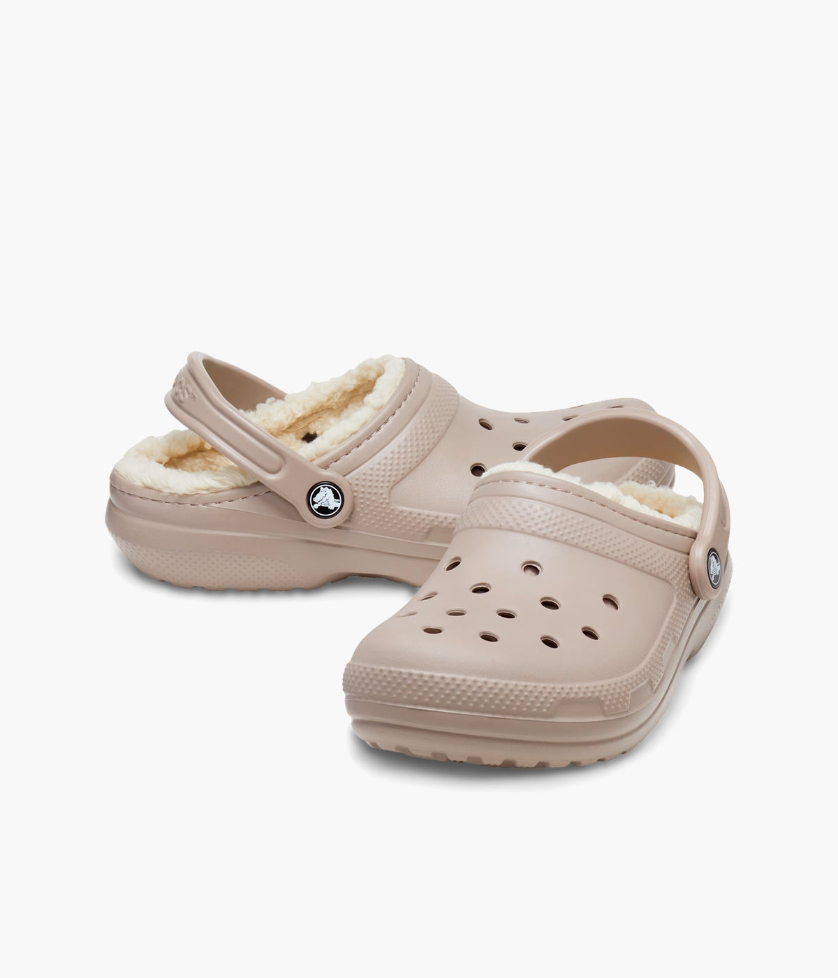 #color_Mushroom / Bone