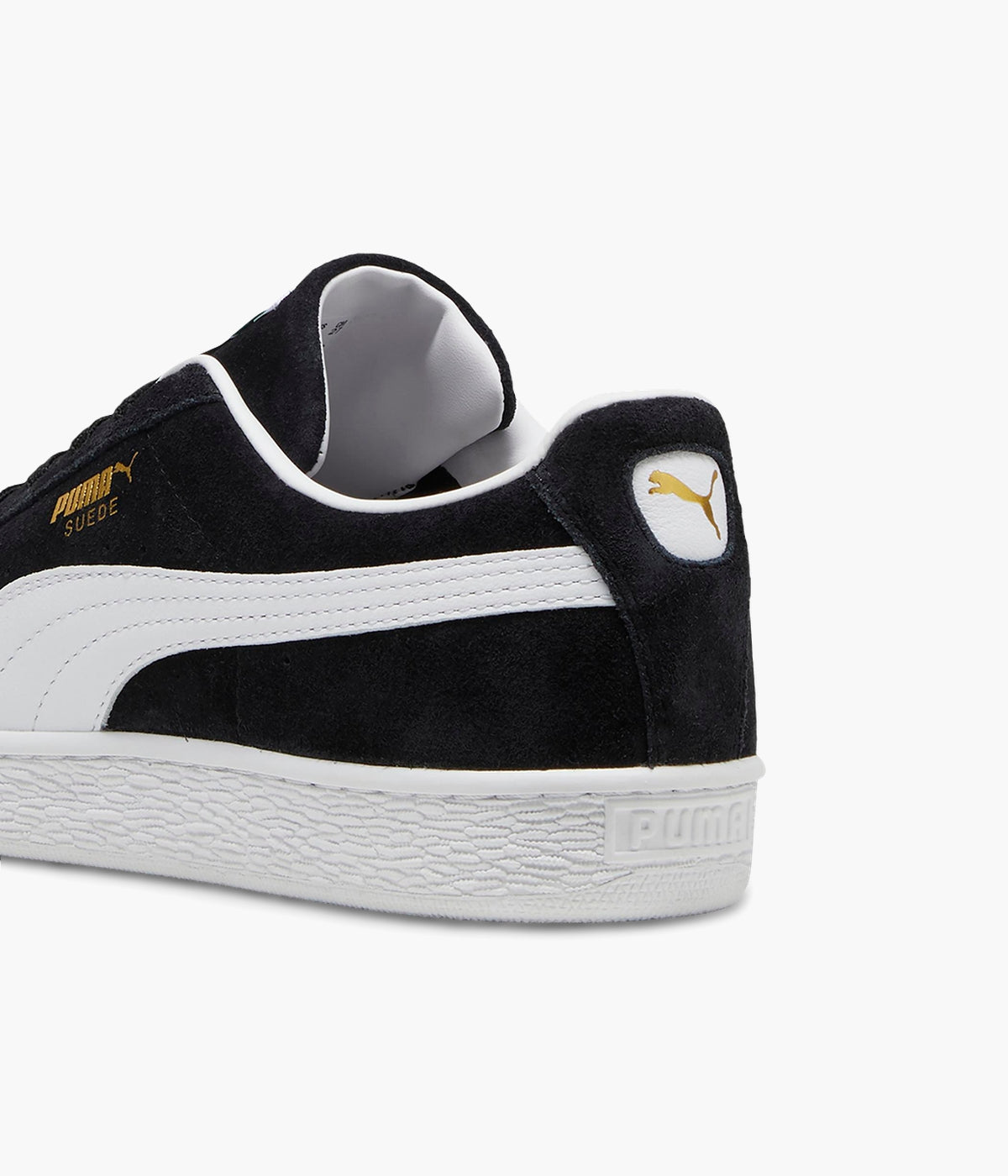 #color_Black / White