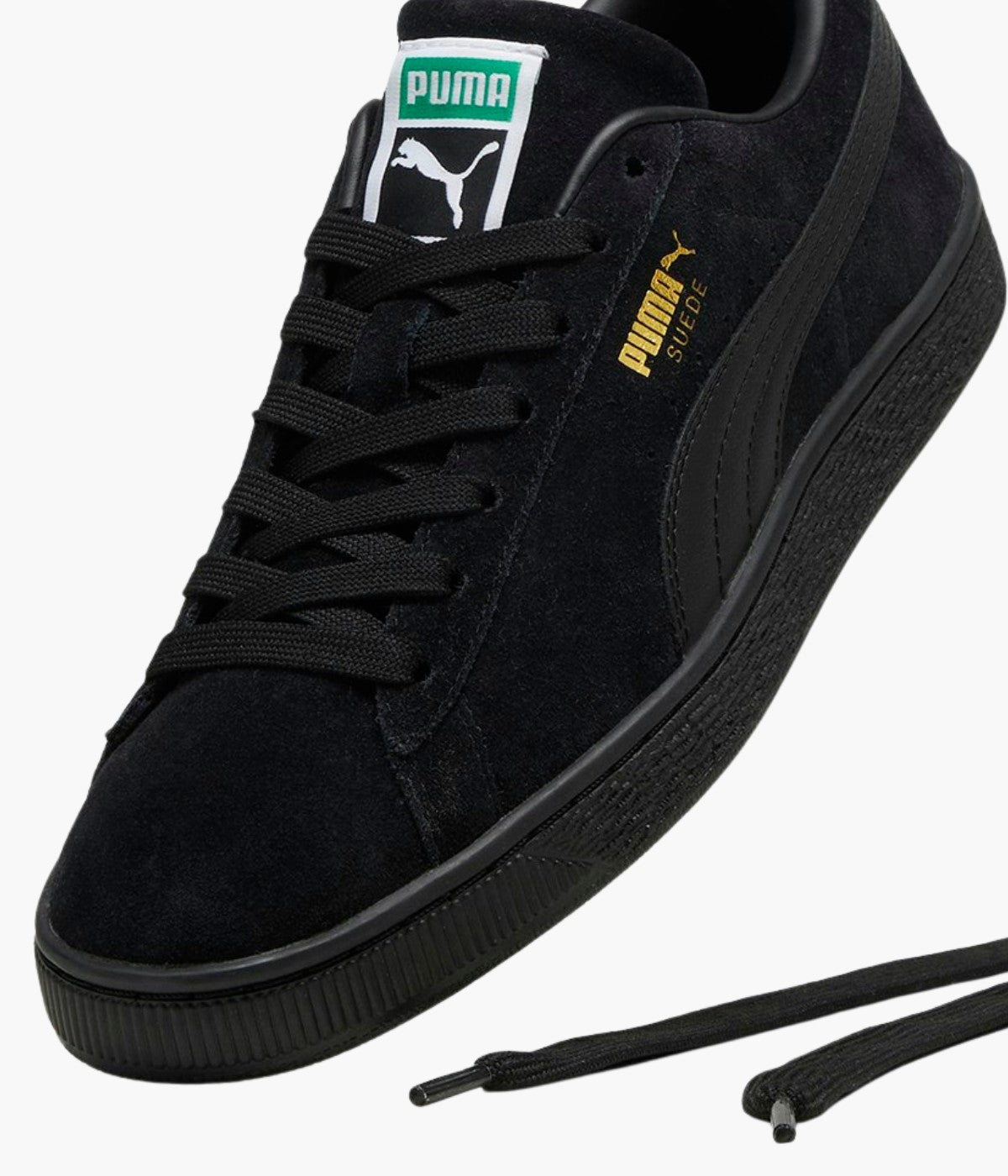 #color_Black / Black