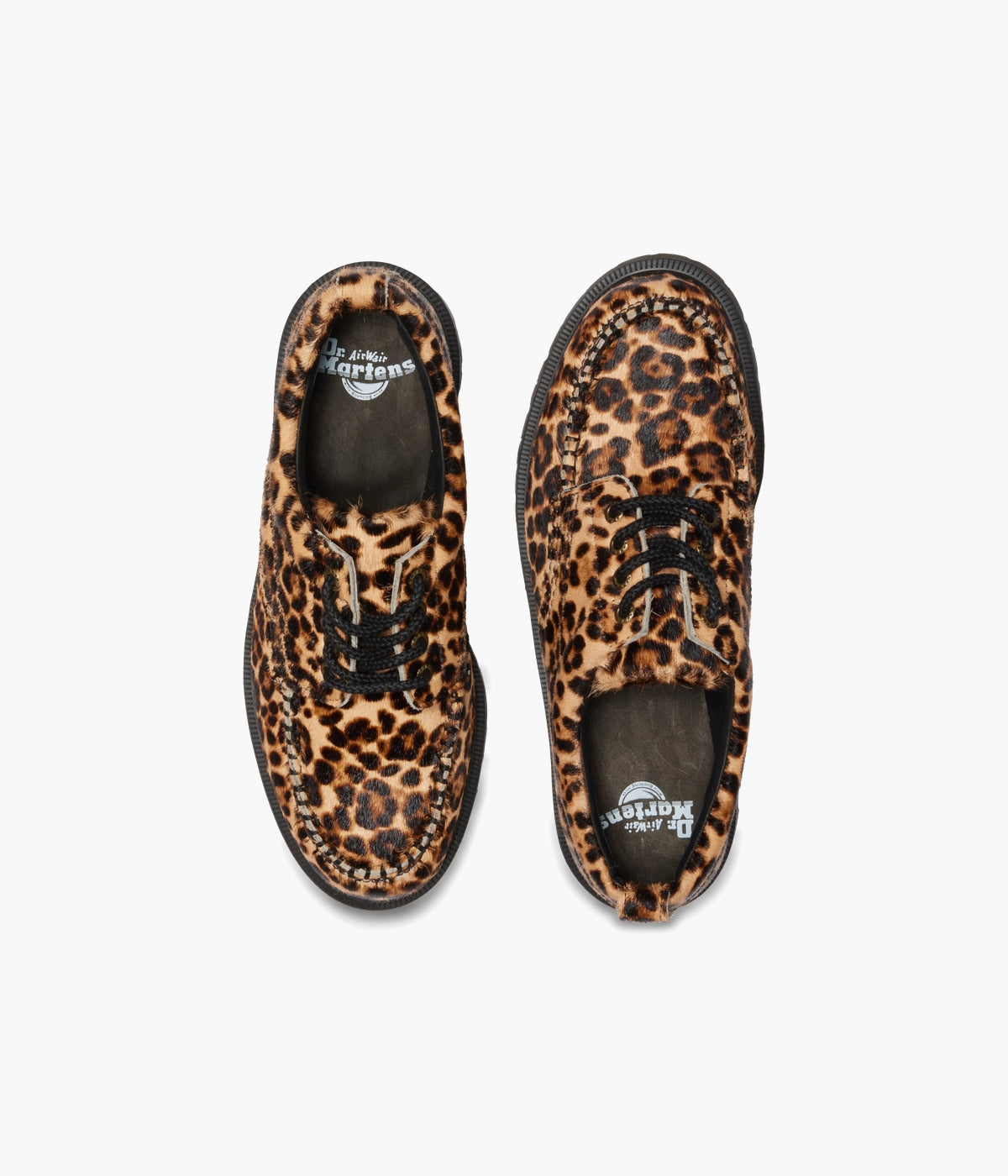 #color_Archive Leopard