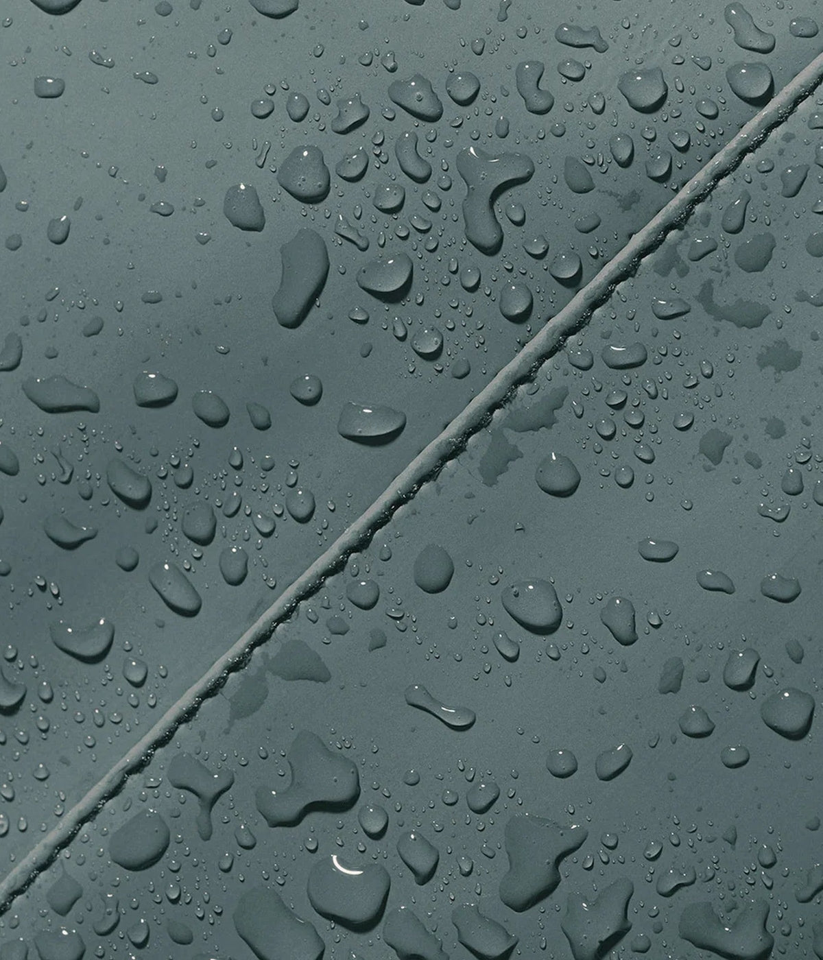 #color_Pine Green