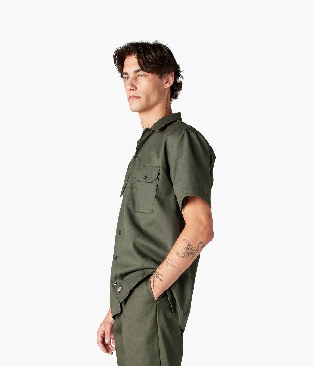 #color_Olive Green